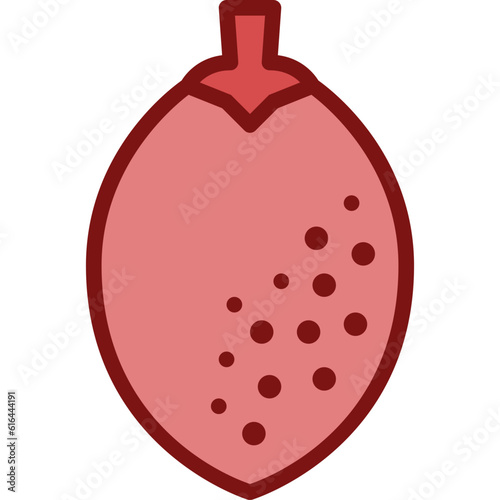 sapodilla two tone icon