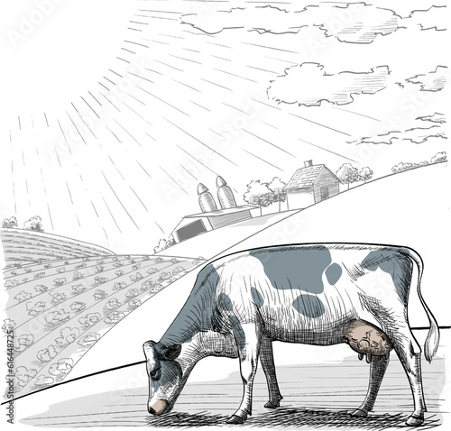 Cow grazing in a meadow surrounded by farmland and in the background the barn and farmer's house on a sunny day vintage retro engraving style