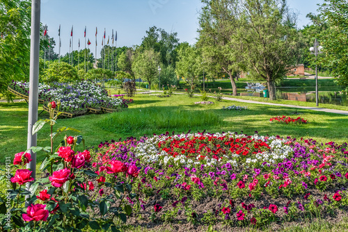 Flowerbeds with bright pink-purple-red-white flowers among the green lawn on the lake in the Trostyanets central park  Sumy region  Ukraine. Beautiful fresh summer landscape and city garden