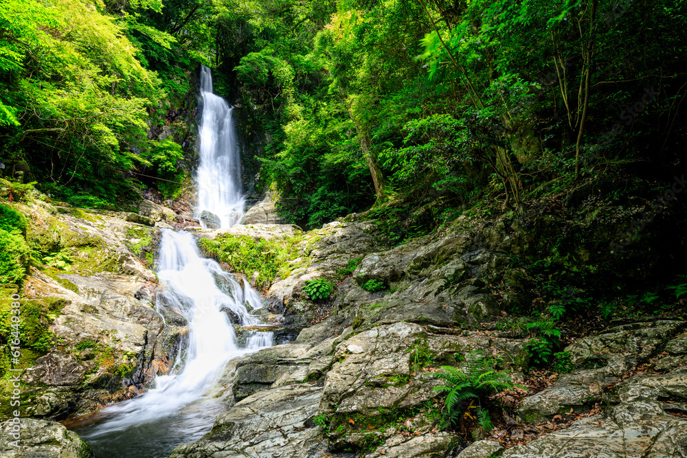 初夏の菅生の滝 福岡県北九州市 Sugao Falls in early summer. Fukuoka Pref, Kitakyusyu City. 初夏の菅生の滝 福岡県北九州市 Sugao Falls in early summer. Fukuoka Pref, Kitakyusyu City.