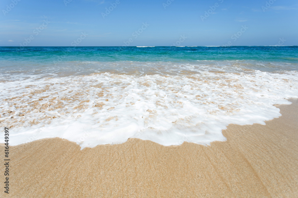 Wave on a tropical beach in the ocean