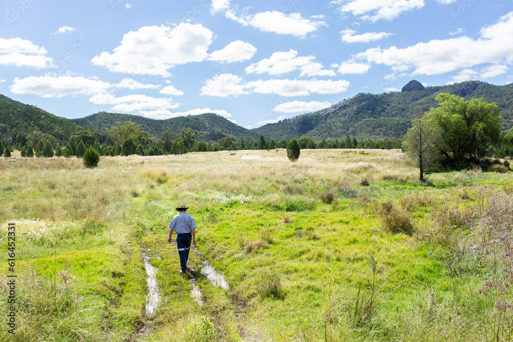 Farmer checking to see if creek crossing is passable in paddock Farmer checking to see if creek crossing is passable in paddock