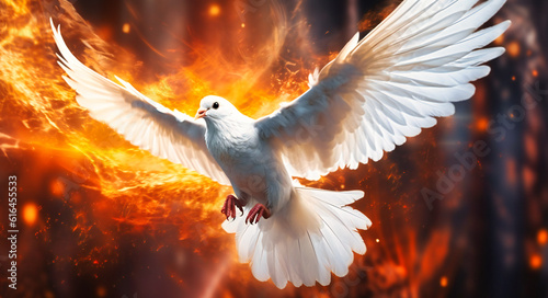 the white dove flying through the fire photo