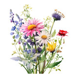 Wildflower Watercolor Clip Art, Watercolor Illustration, Flowers Sublimation Design, Flower Clip Art