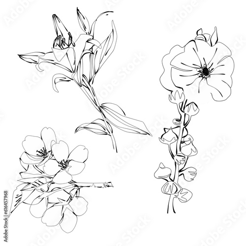 Hand drawn flowers  photo