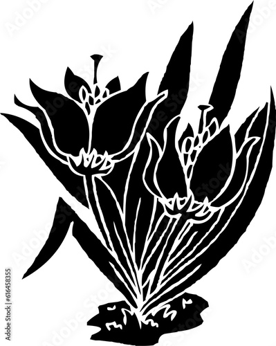 bunga, flower, daun, tumbuhan, vector, wangi,  photo