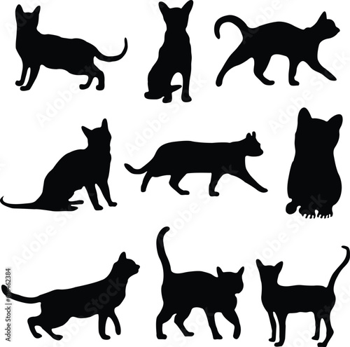Fototapeta Naklejka Na Ścianę i Meble -  Free vector cat silhouette set vector illustration