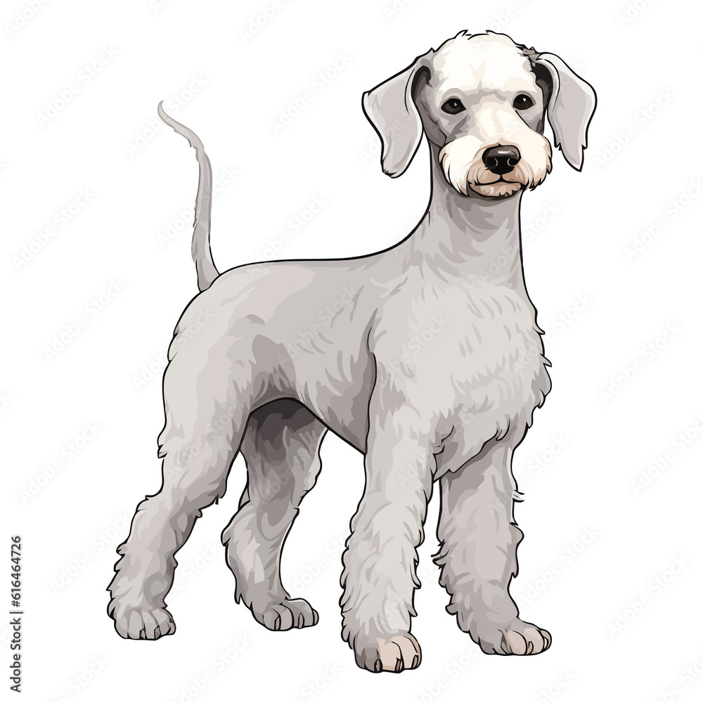 custom made wallpaper toronto digitalWhimsical Wonder: Whimsical 2D Illustration of a Cute Bedlington Terrier