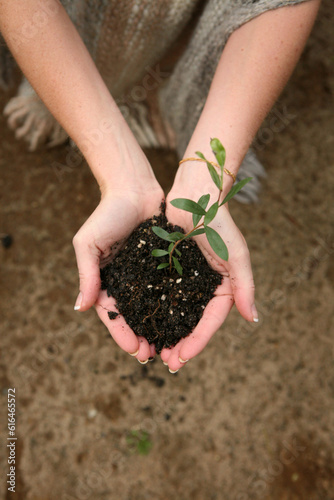 Close up shot of a woman holding a green plant in a soil in the palm of her hand