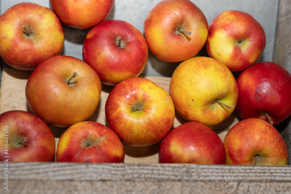 Pommes rouges et jaunes dans un présentoir en bois et métal Stock Photo Adobe Stock
