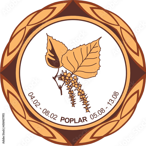 Celtic astrological horoscope. Druid tree calendar. Poplar: from February 4 to February 8 and from August 5 to August 13. Decorative dishes. Ancient runes