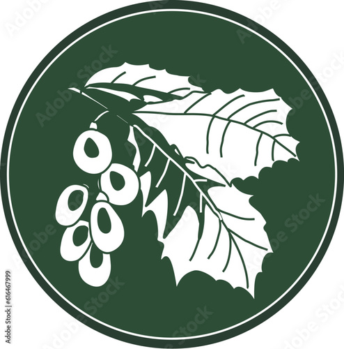 White elm logo on a dark green background. Celtic tree in a circle for eco and bio design. Vector natural plant element