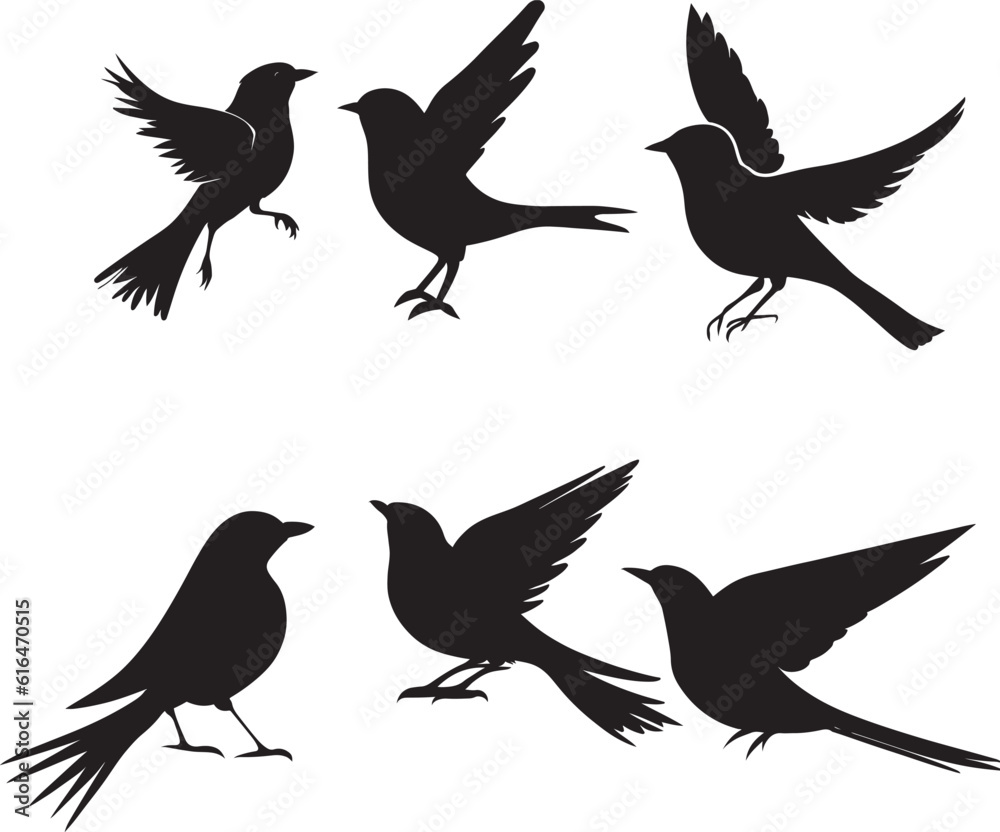 Obraz premium set of silhouettes of birds, silhouette bird vector illustration set with white background