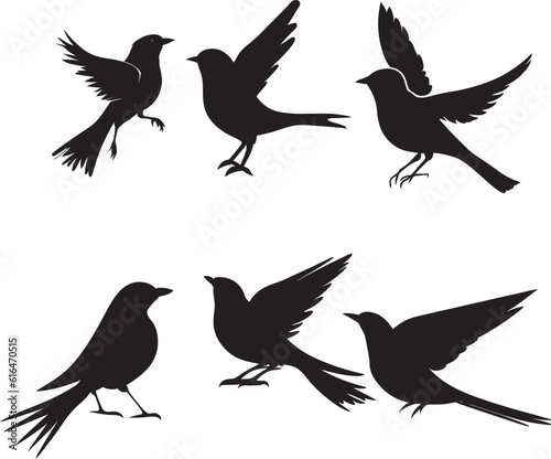 set of silhouettes of birds  silhouette bird vector illustration set with white background