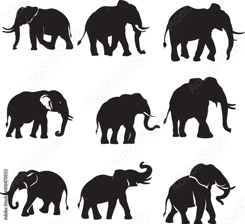 set of elephants silhouettes  silhouette elephant collection set vector. elephant vector illustration set