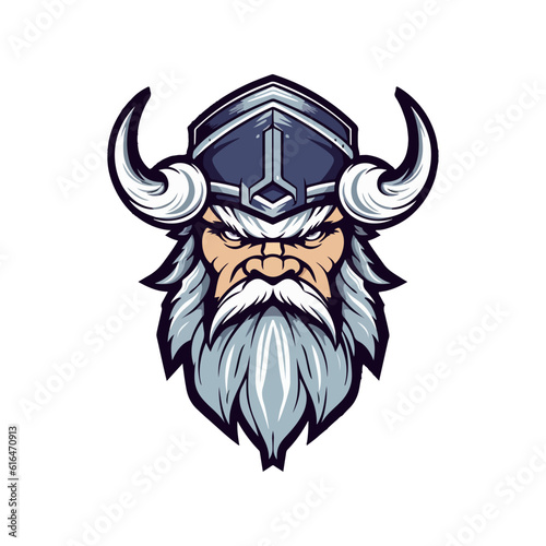 viking nordic mascot logo vector