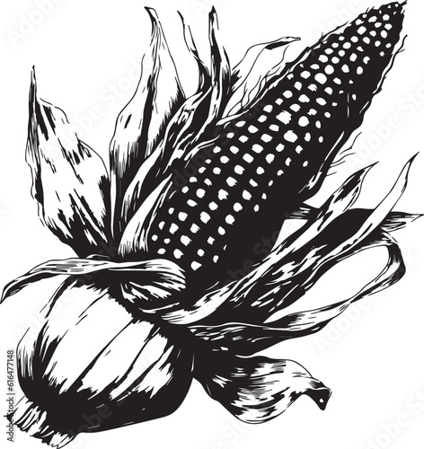 Ear of Corn hand-drawn, agriculture vector illustration, SVG