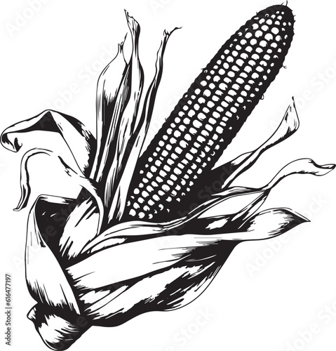 Ear of Corn hand-drawn, agriculture vector illustration, SVG