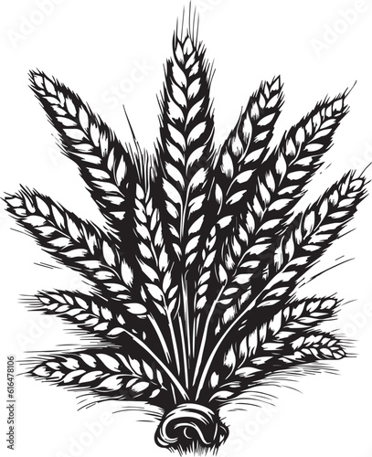 Ears of wheat hand-drawn, agriculture vector illustration, SVG