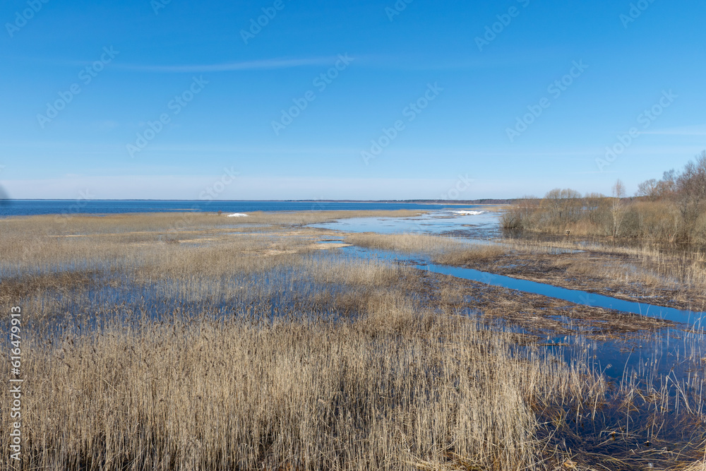 landscape overlooking the lake, Lake Võrtsjärv is Estonia's largest inland body of water.