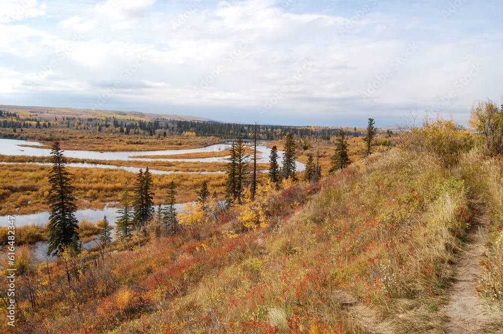 Fototapeta premium Wonderful autumn landscape in front of a river in the region of Calgary, Alberta, Canada. Canadian landscape showing vegetation and a river during autumn in Canada.