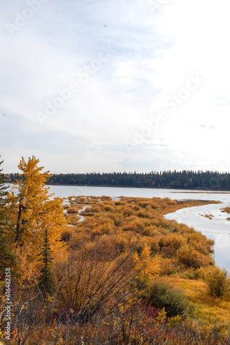 Wonderful autumn landscape in front of a river in the region of Calgary, Alberta, Canada. Canadian landscape showing vegetation and a river during autumn in Canada.