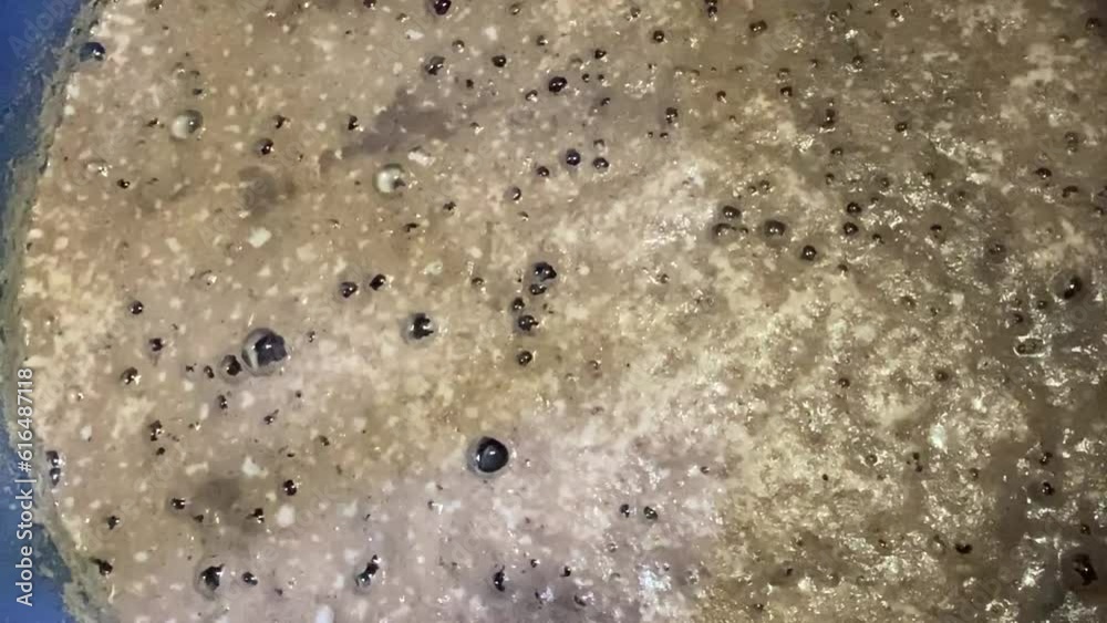 Moving bubbles on the surface of wine must caused by the residual carbon dioxide produced during the fermentation activity of yeast  Close up