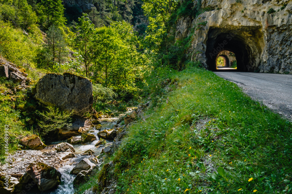 Tunnel and the gorge of the Ruisseau de Gas near Glandage village in the French Alps (Drôme)