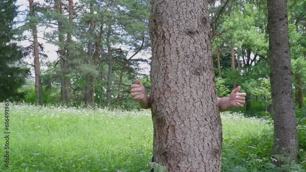 The hands of a man hug a tree in the forest, demonstrating love and care for nature and the environment of the Earth The hands of a man hug a tree in the forest, demonstrating love and care for nature and the environment of the Earth
