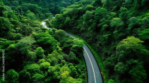 an asphalt road leads through the middle of a dense and wild green jungle, generative AI © Marcus Jacobi