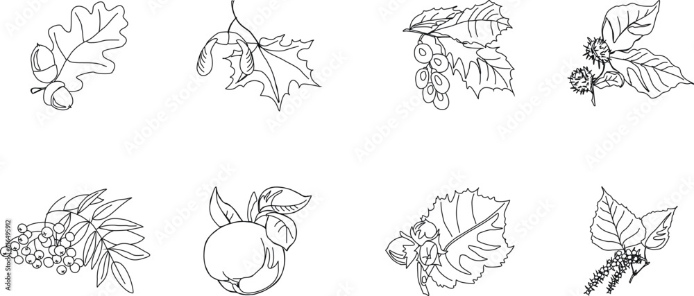 Logos of plants. Set of eight vector images of branches with the fruits of deciduous trees.