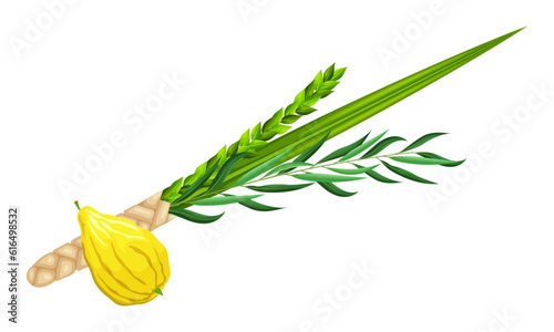 Jewish holiday Sukkot - Feast of Tabernacles or Festival of Ingathering. Traditional symbols: etrog (citron), lulav (palm branch), hadas (myrtle), arava (willow). Palm leaves and lemon. Vector photo