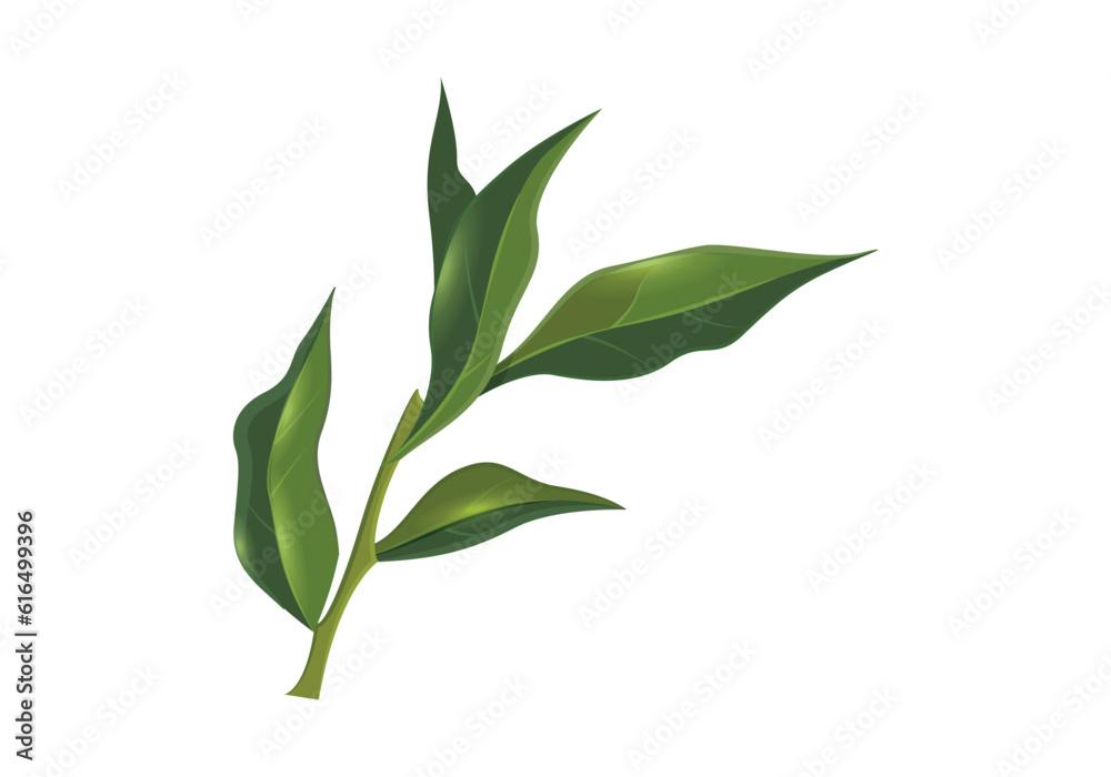 leaf line  icon set