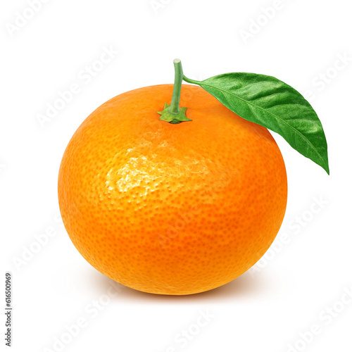 オレンジのイラスト リアル