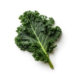 Kale leaf isolated on white background. Generative AI