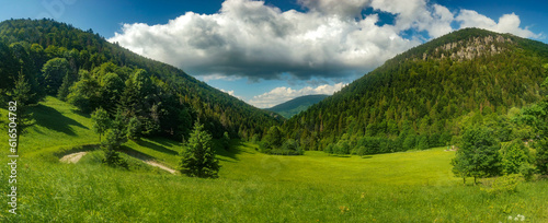 Górski krajobraz, pasmo Małej Fatry Słowacja