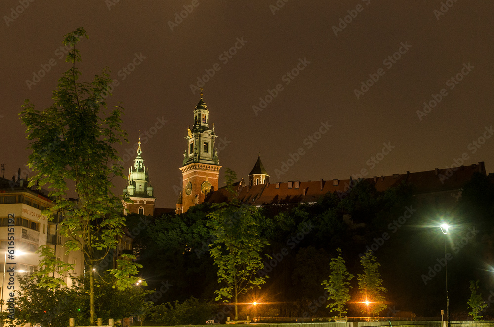 Zamek na Wawelu w nocy 