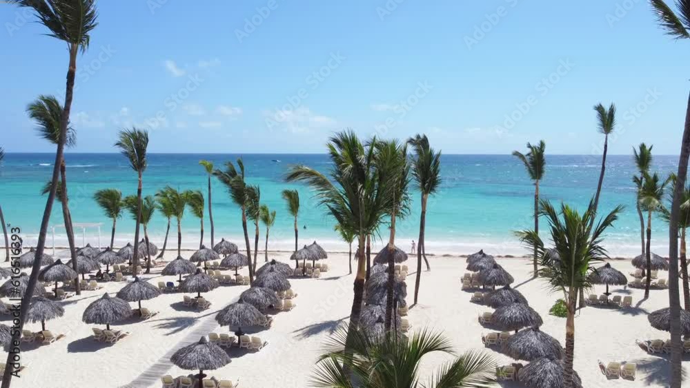 Aerial rising up view of the beach of the all inclusive resort with white sand and turquoise water of the sea. Tall palm trees and rows of straw umbrellas. Best places for summer vacations