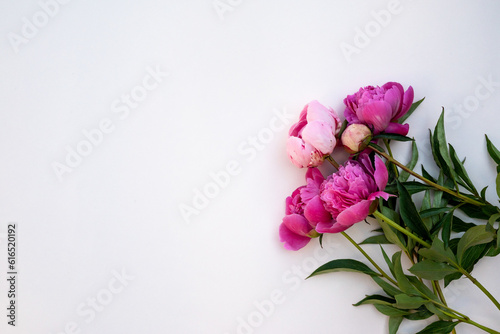 Beautiful peonies in dark colors. Black Floral banner. Soft focus  copy space. Bouquet of pink peonies on a black background with place for text. minimalistic composition in a dark key. flat lay