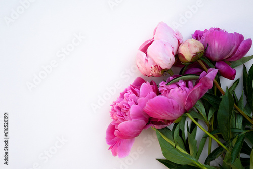 Beautiful peonies in dark colors. Black Floral banner. Soft focus, copy space. Bouquet of pink peonies on a black background with place for text. minimalistic composition in a dark key. flat lay