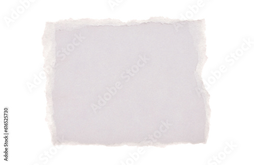 Torn empty pieces texture paper isolated on white copy space background.