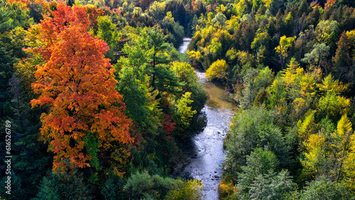 Aerial view of the river valley in autumn.