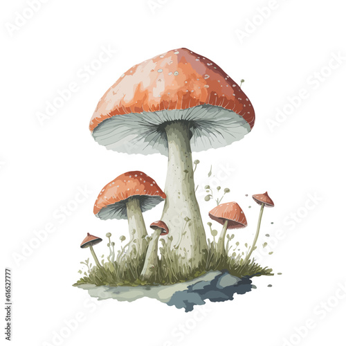 high quality drawing cute forest mushrooms. Hand drawn illustration is isolated on background. Painted forest mushrooms, acorn, leaves and flowers