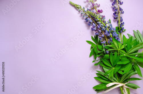 Lupine flowers bouquet with a ribbon on a purple background