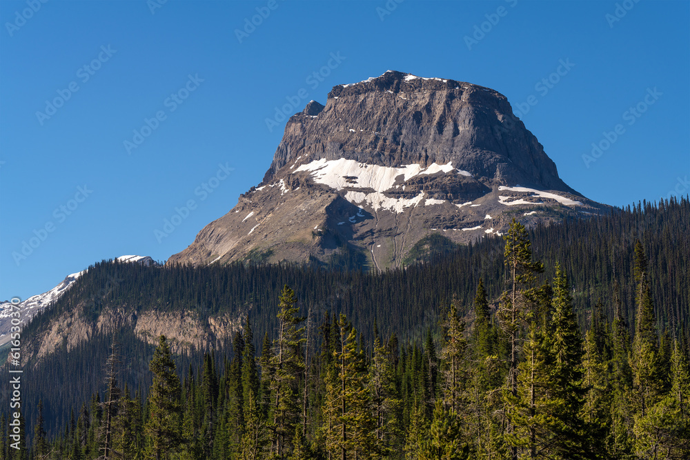 Cathedral mountain peak, Yoho national park, Canada.