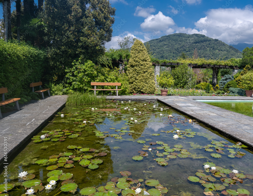 Lily pond in the Botanical Gardens of Villa Taranto, Verbania, Lake Maggiore, Piedmont, Italy.