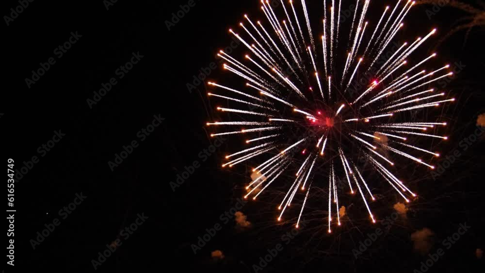 Bright silver blue and purple sparks in the form of firework flowers on a black night sky Bright silver blue and purple sparks in the form of firework flowers on a black night sky