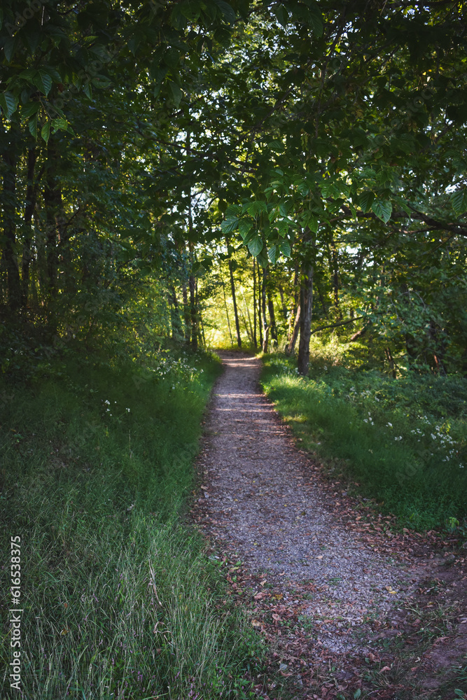 Small trail through a forest in Roanoke, West Virginia Small trail through a forest in Roanoke, West Virginia