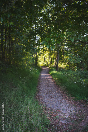 Fototapeta Naklejka Na Ścianę i Meble -  Small trail through a forest in Roanoke, West Virginia