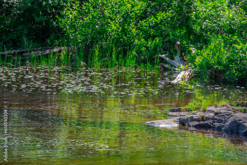 Beautiful  and wild river in the province of Quebec, Canada